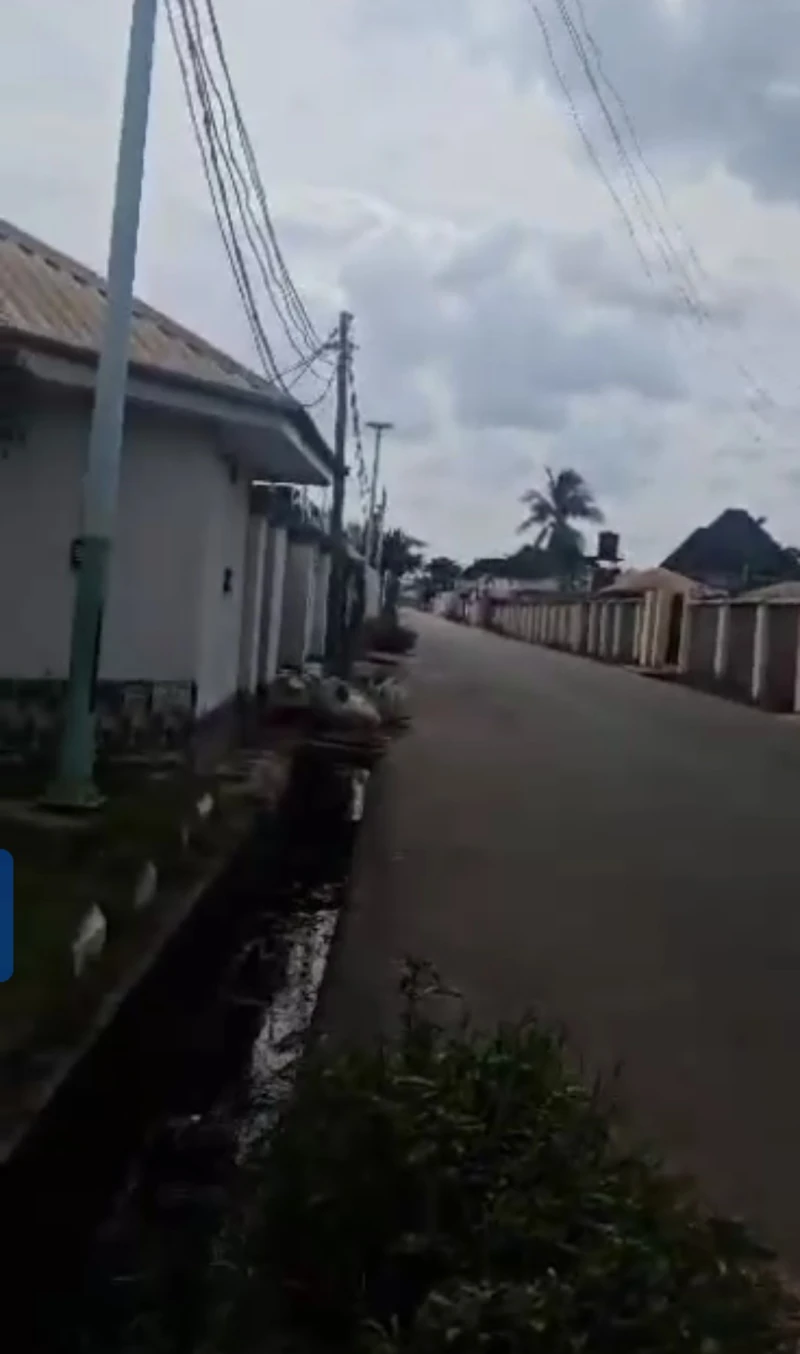 Land for Sale in Back of needs Hotel, Delta - Image 3