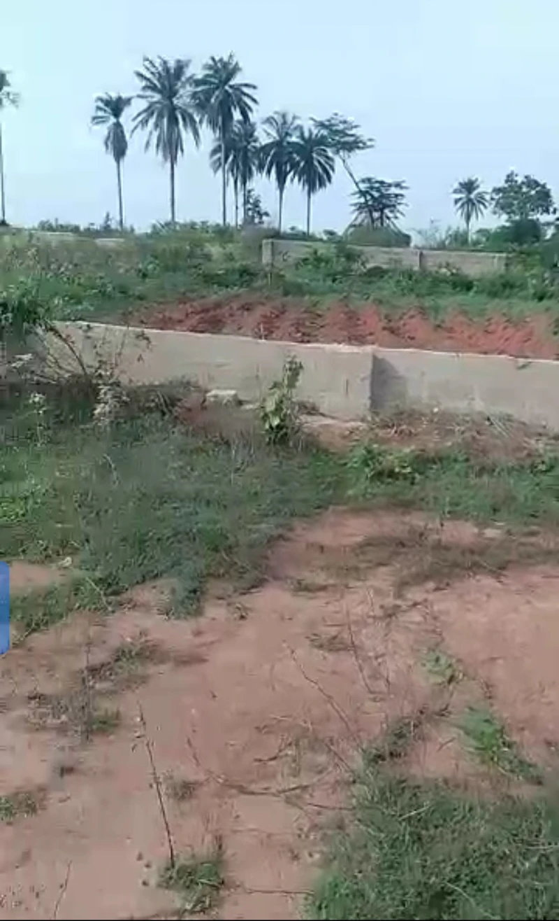Land for Sale in Across city gate, Delta - Image 4
