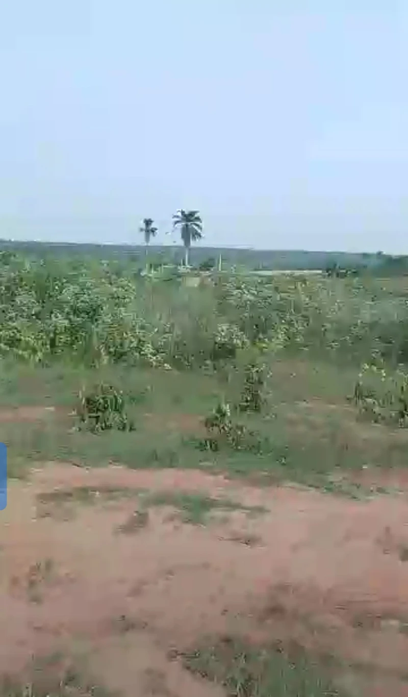 Land for Sale in Across city gate, Delta - Image 2