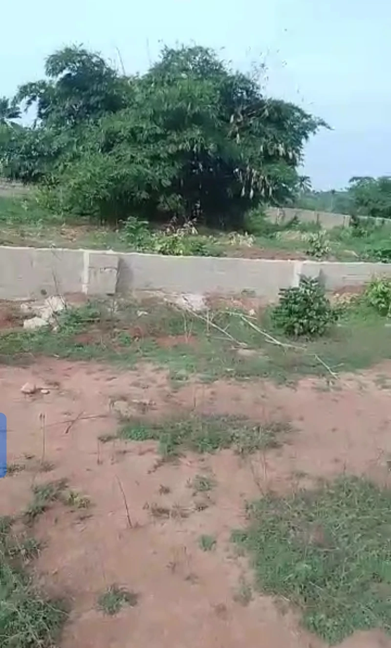 Land for Sale in Across city gate, Delta - Image 3