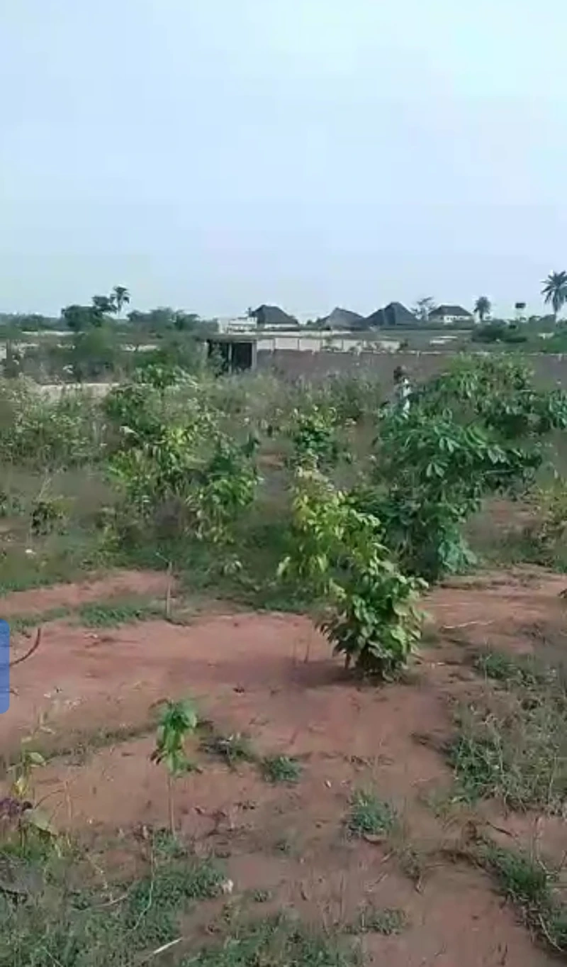 Land for Sale in Across city gate, Delta - Image 1