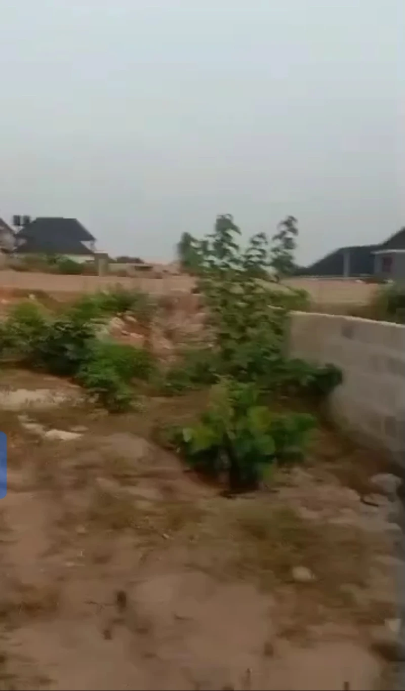 Land for Sale in Behind step down Ibusa, Delta - Image 1