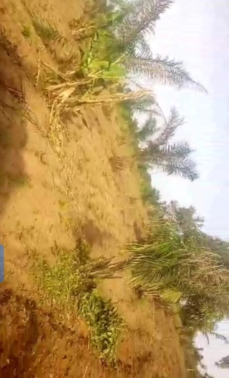 Land for Sale in Azagba, Delta - Image 1