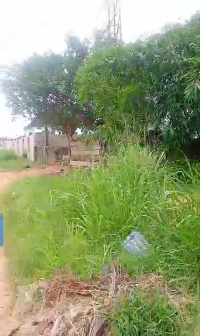 Land for Sale in Okpanam, Delta - Image 2