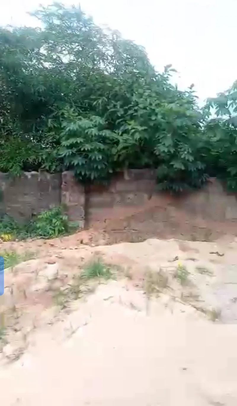 Land for Sale in Okpanam, Delta - Image 3