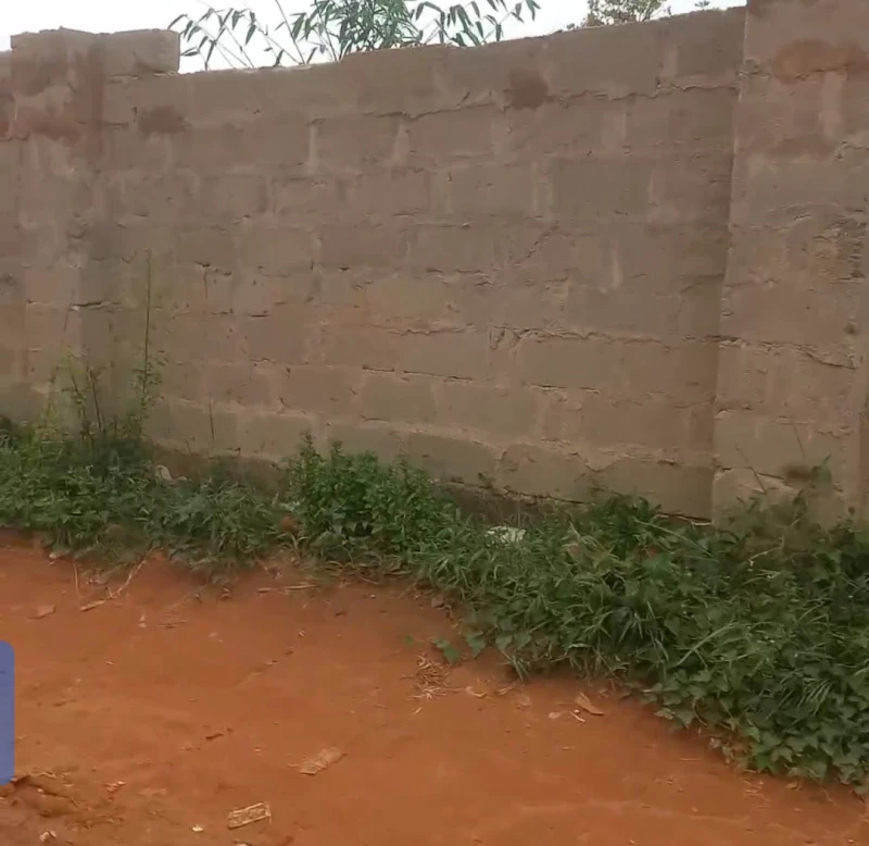 Land for Sale in Nwawolor, Delta - Image 3