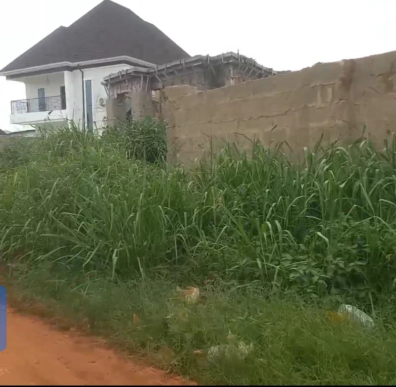 Land for Sale in Nwawolor, Delta - Image 2