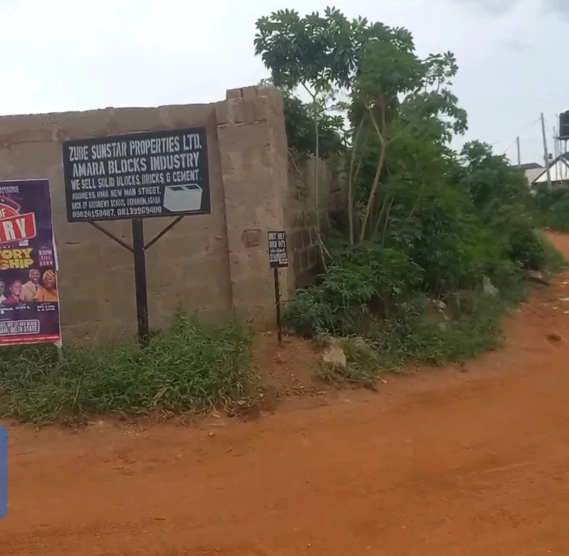 Land for Sale in Nwawolor, Delta - Image 4