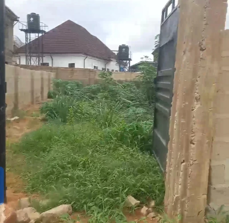 Land for Sale in Nwawolor, Delta - Image 2