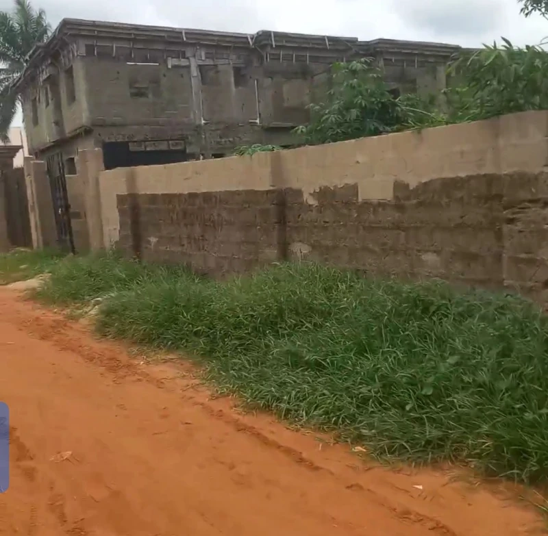 Land for Sale in Nwawolor, Delta - Image 3