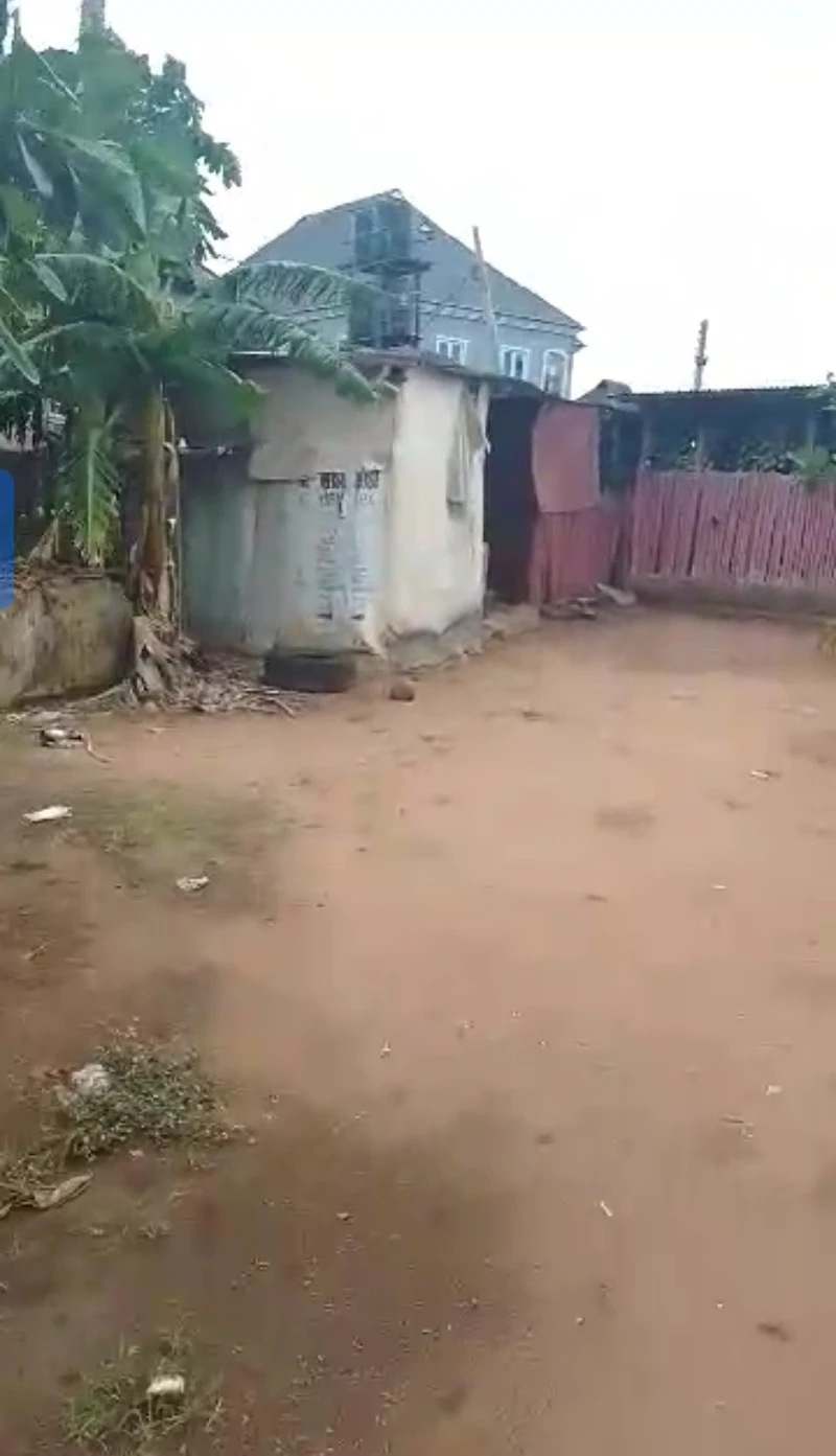 Store for Rent in Kola, Delta - Image 3