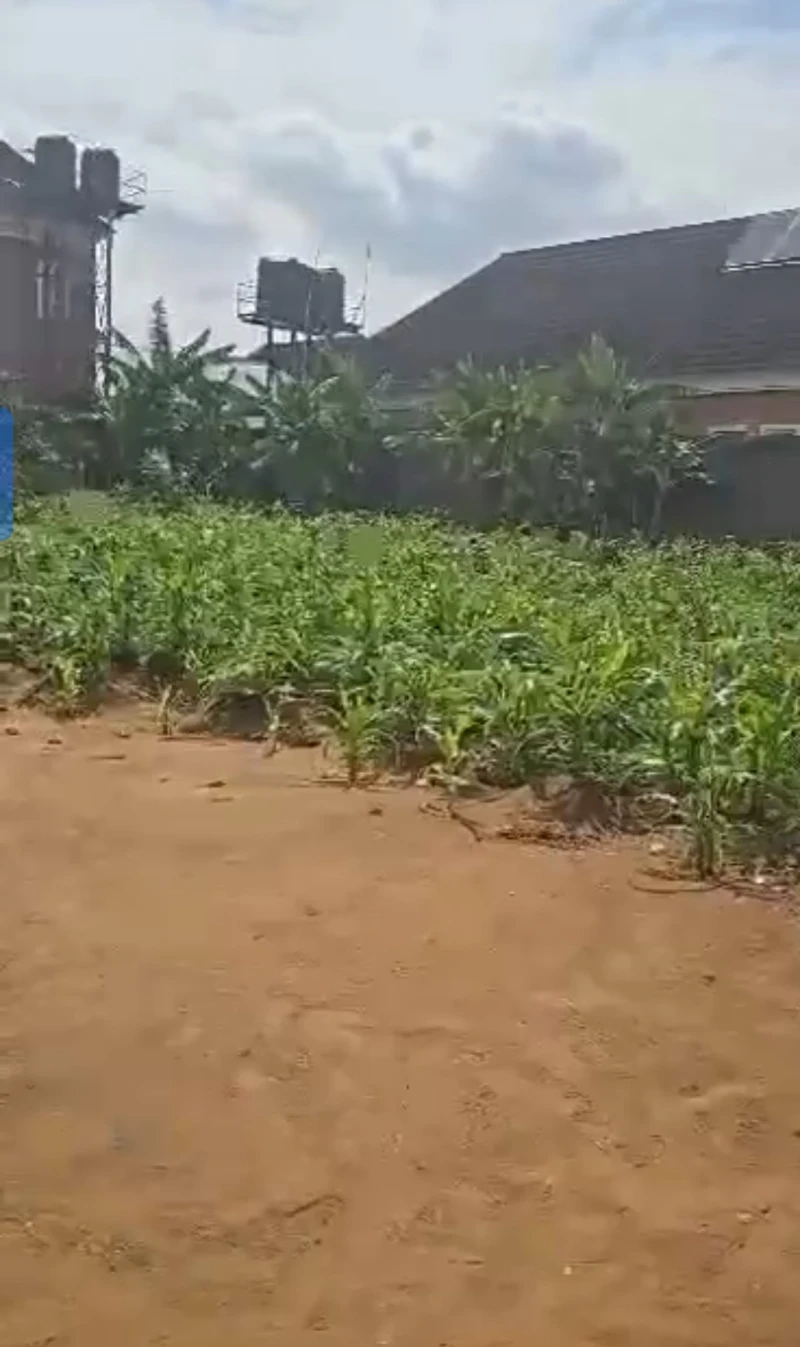 Land for Sale in Okpanam, Delta - Image 2