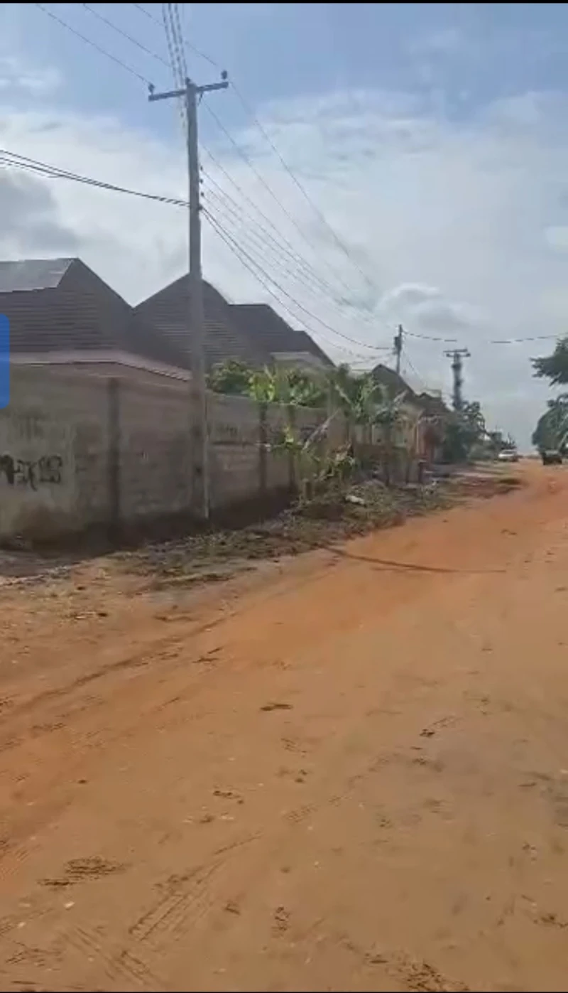 Land for Sale in Okpanam, Delta - Image 4