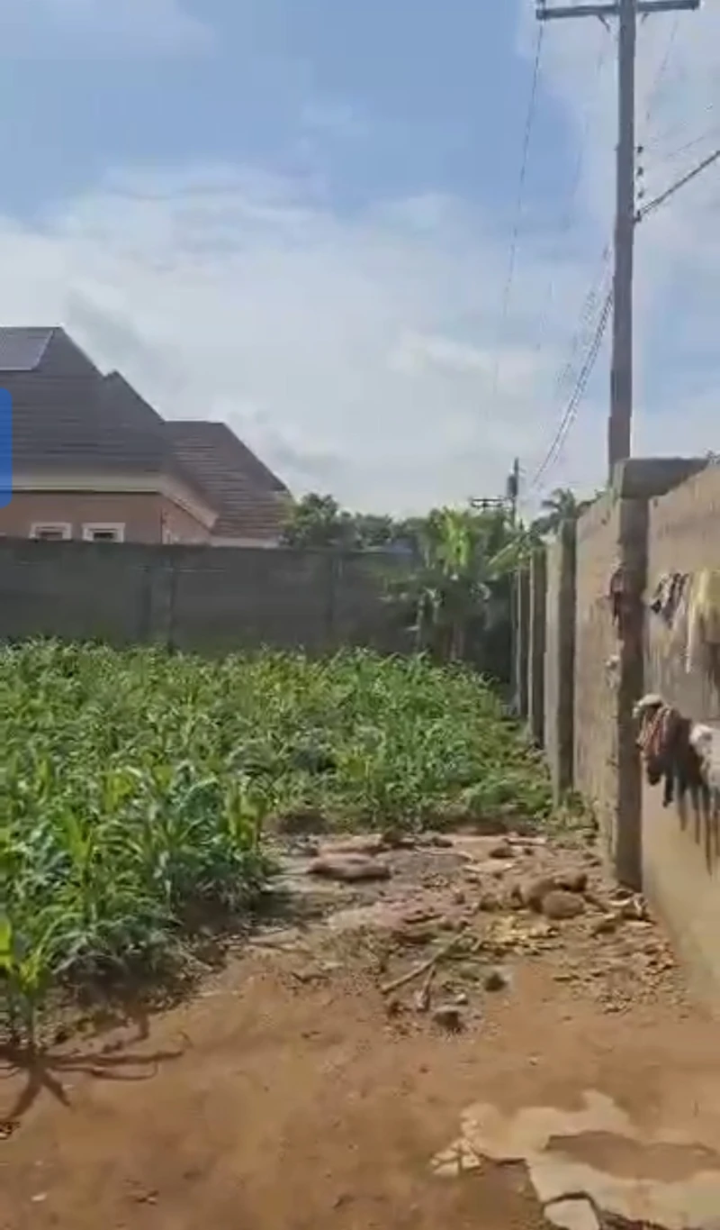 Land for Sale in Okpanam, Delta - Image 1