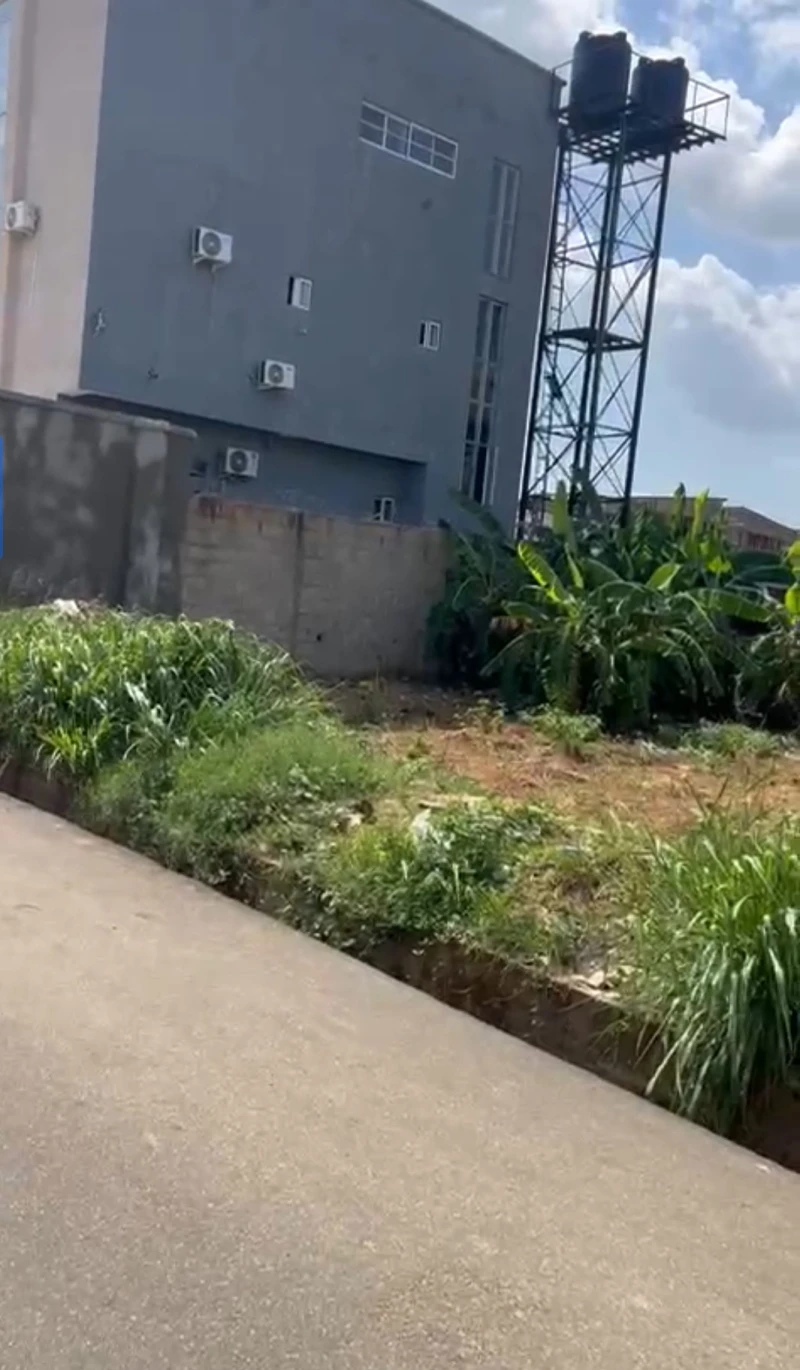 Land for Sale in Okpanam town, Delta - Image 3