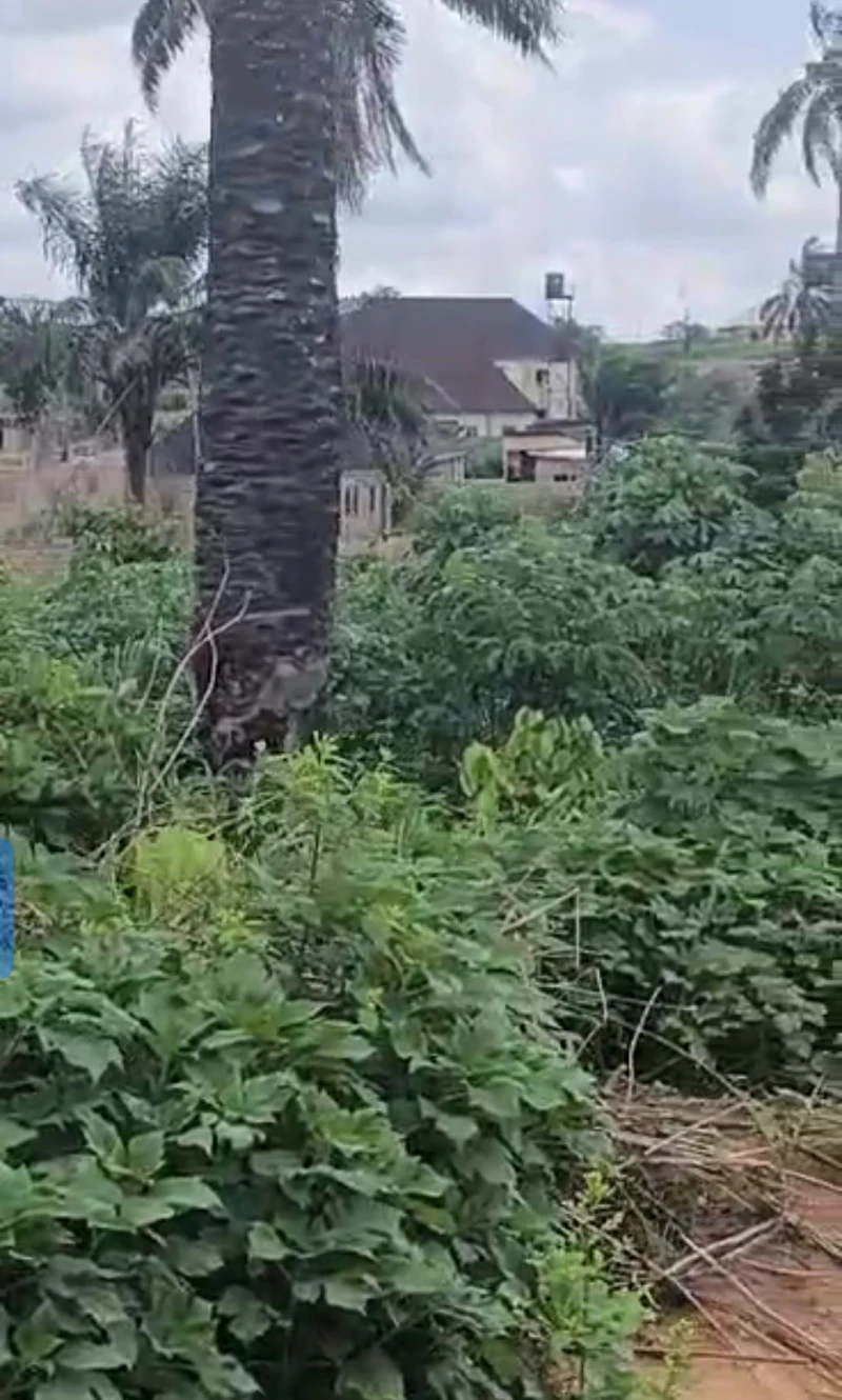 Land for Sale in Okpanam bypass, Delta - Image 3