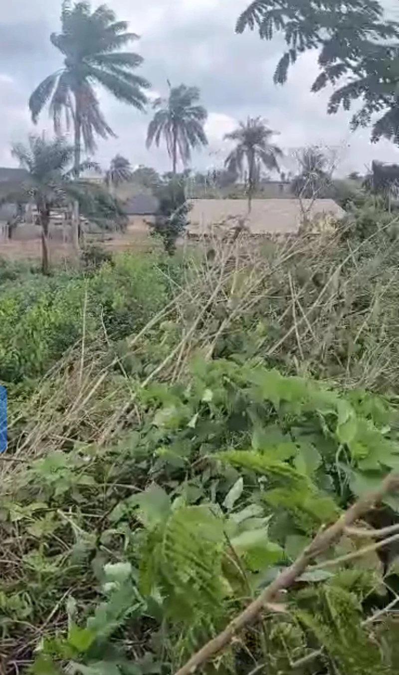 Land for Sale in Okpanam bypass, Delta - Image 2