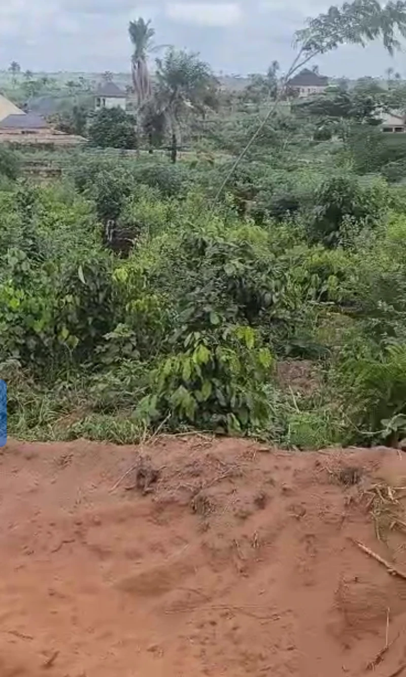 Land for Sale in Okpanam bypass, Delta - Image 1