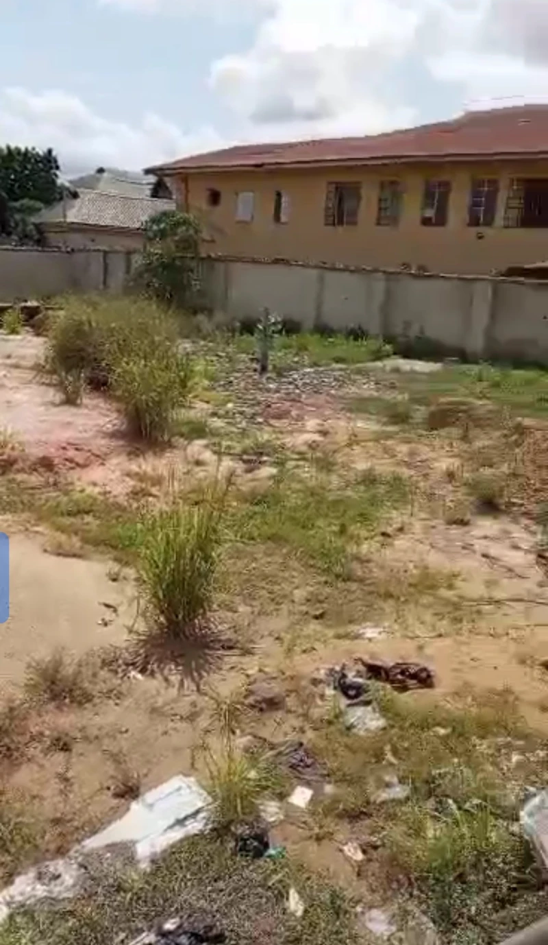 Land for Lease in Nnebisi, Delta - Image 3