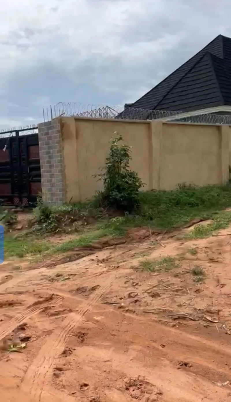 Land for Sale in Okpanam, Delta - Image 3