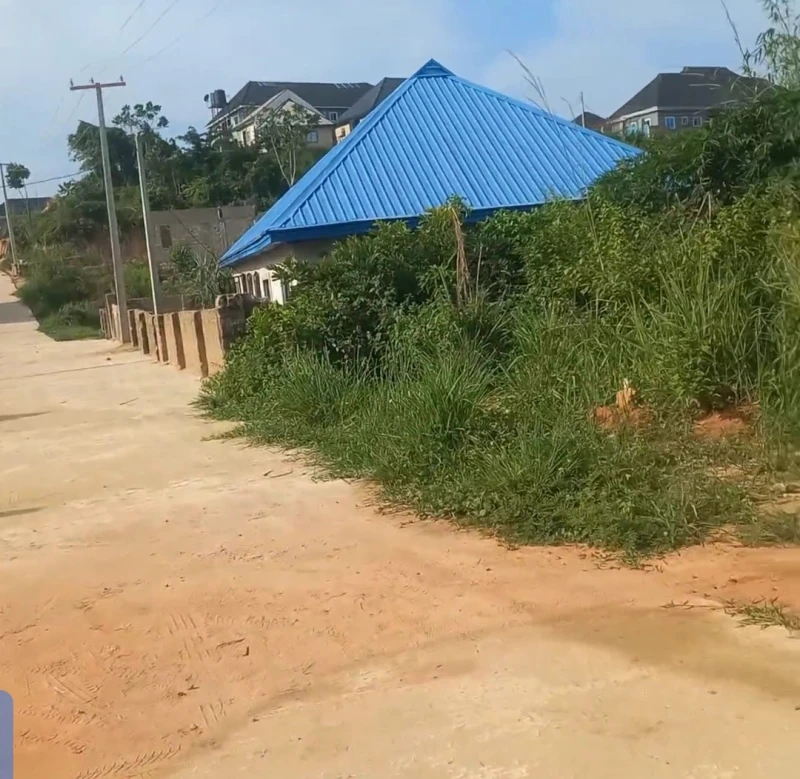 Land for Sale in Okpanam, Delta - Image 2