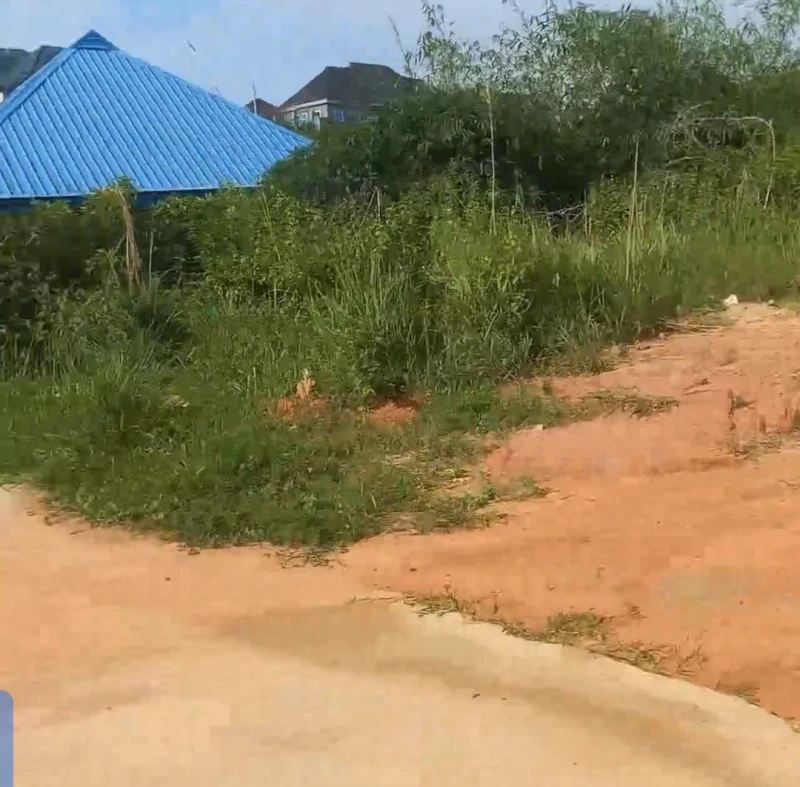 Land for Sale in Okpanam, Delta - Image 3