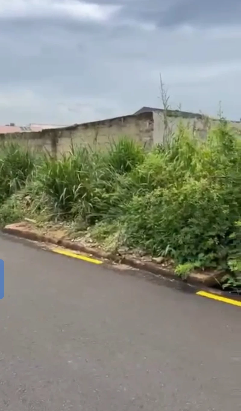 Land for Sale in Okpanam road, Delta - Image 4