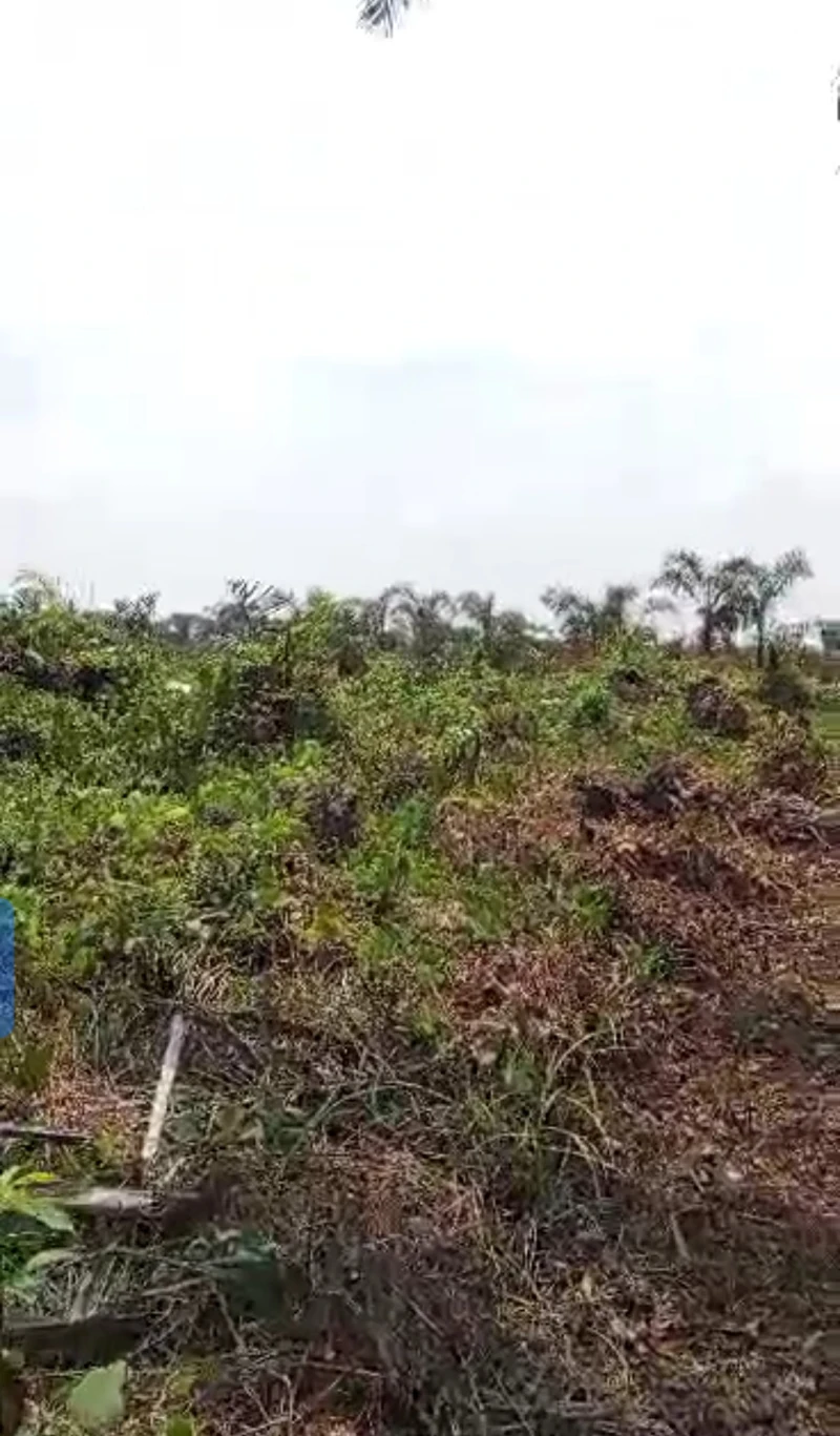 Land for Sale in Achala ibusa road, Delta - Image 2