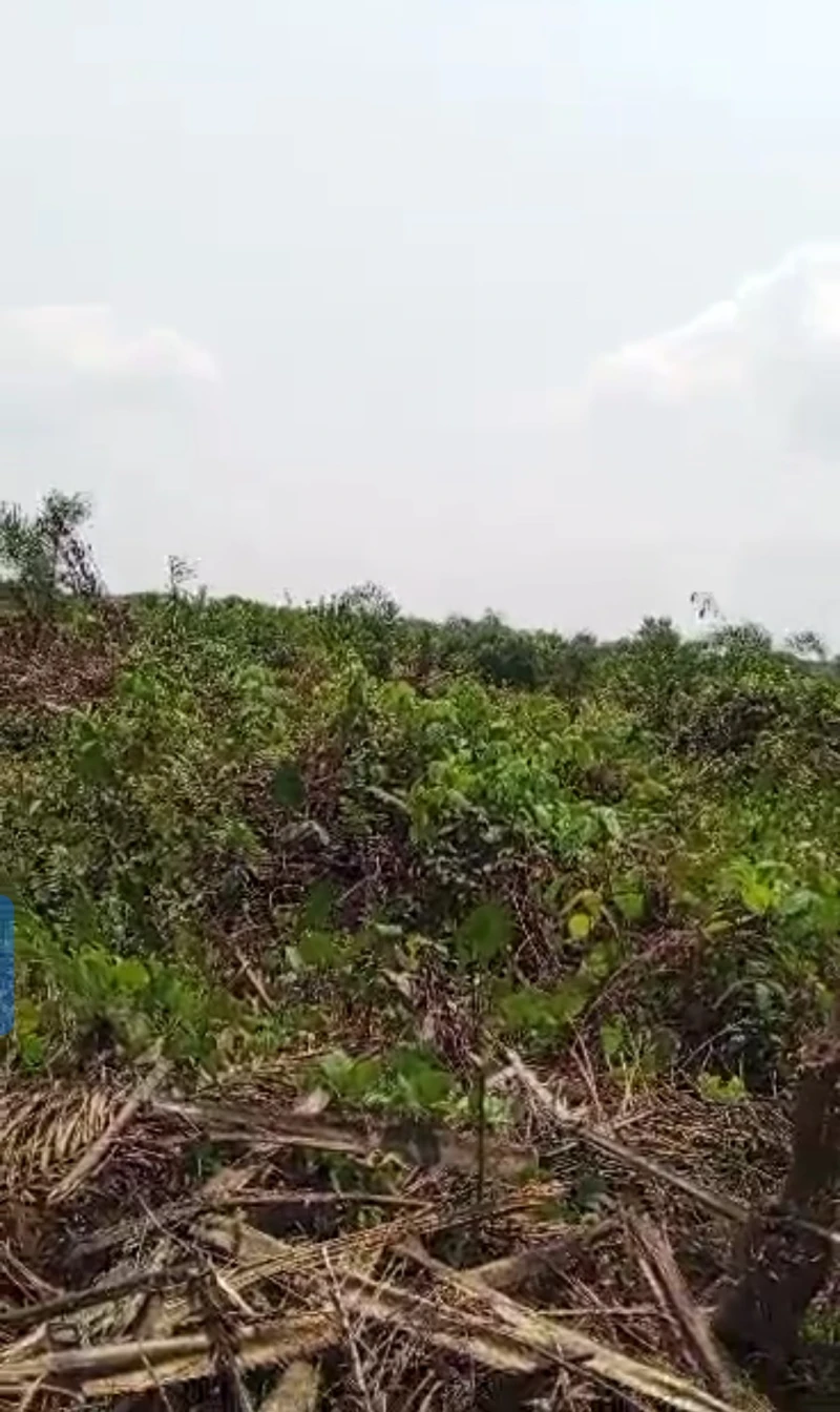 Land for Sale in Achala ibusa road, Delta - Image 3