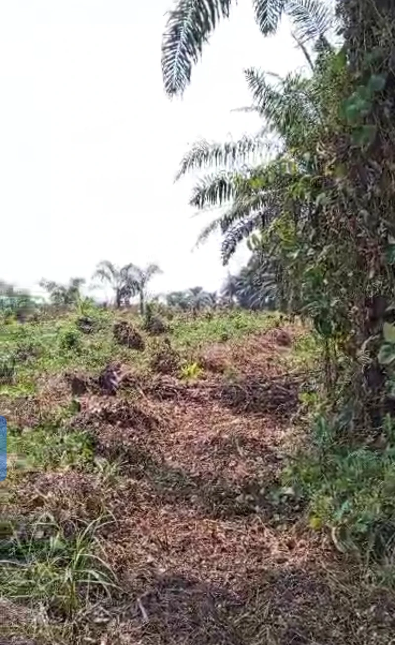 Land for Sale in Achala ibusa road, Delta - Image 1