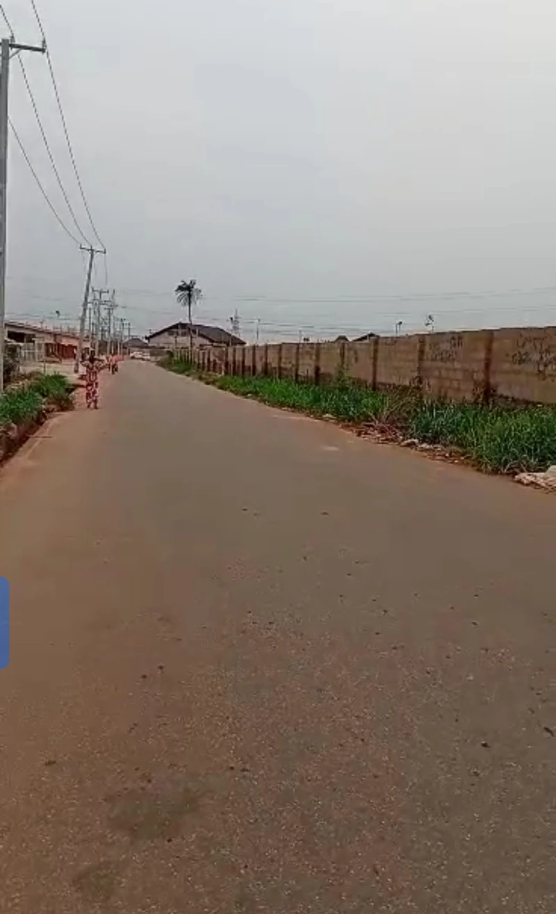 Land for Sale in Loka, Delta - Image 2
