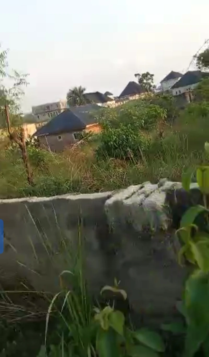 Land for Sale in Okpanam, Delta - Image 2