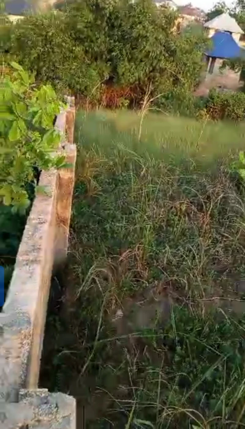 Land for Sale in Okpanam, Delta - Image 3