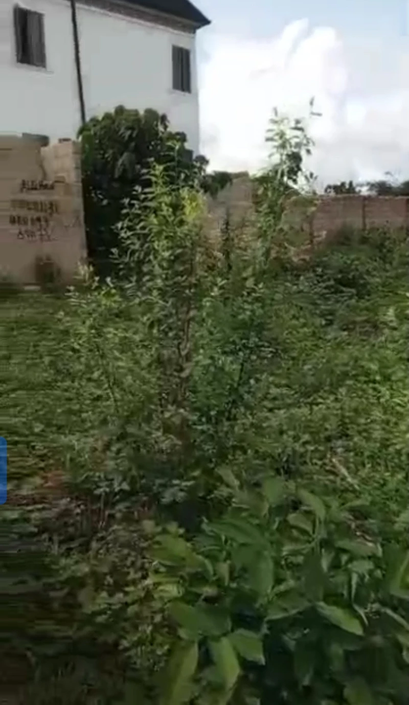Land for Sale in Okpanam city gate, Delta - Image 2