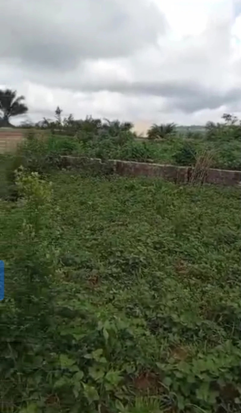 Land for Sale in Okpanam city gate, Delta - Image 1