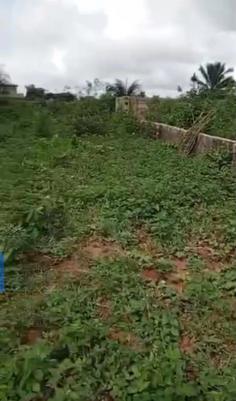 Land for Sale in Okpanam city gate, Delta - Image 3