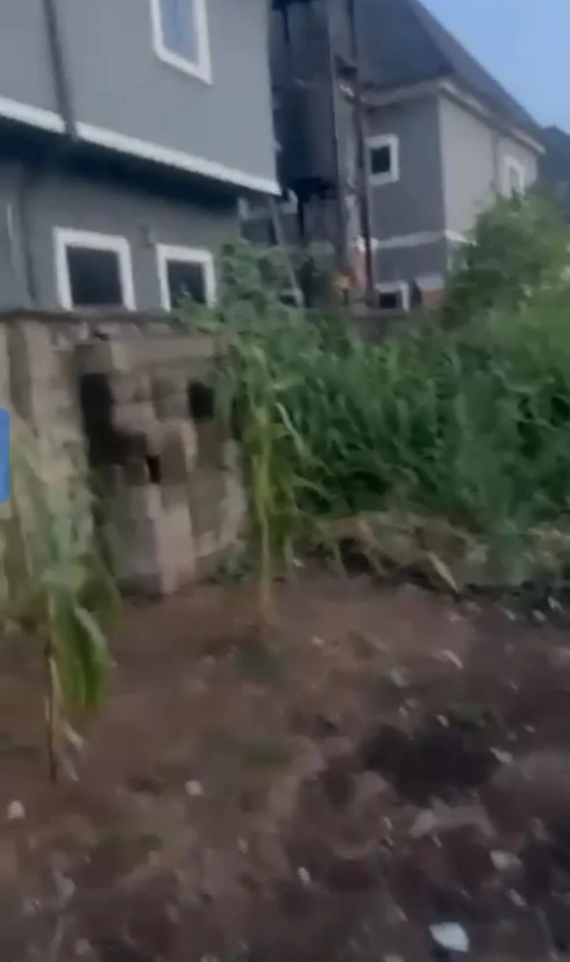 Land for Sale in Asaba, Delta - Image 2