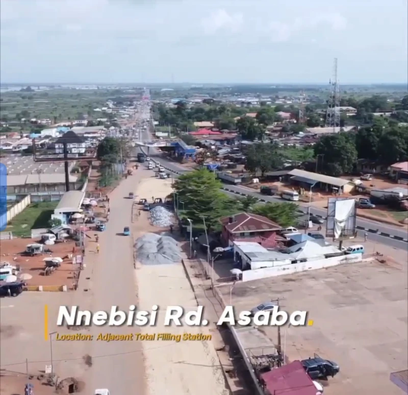 Land for Sale in Nnebisi Road, Delta - Image 3