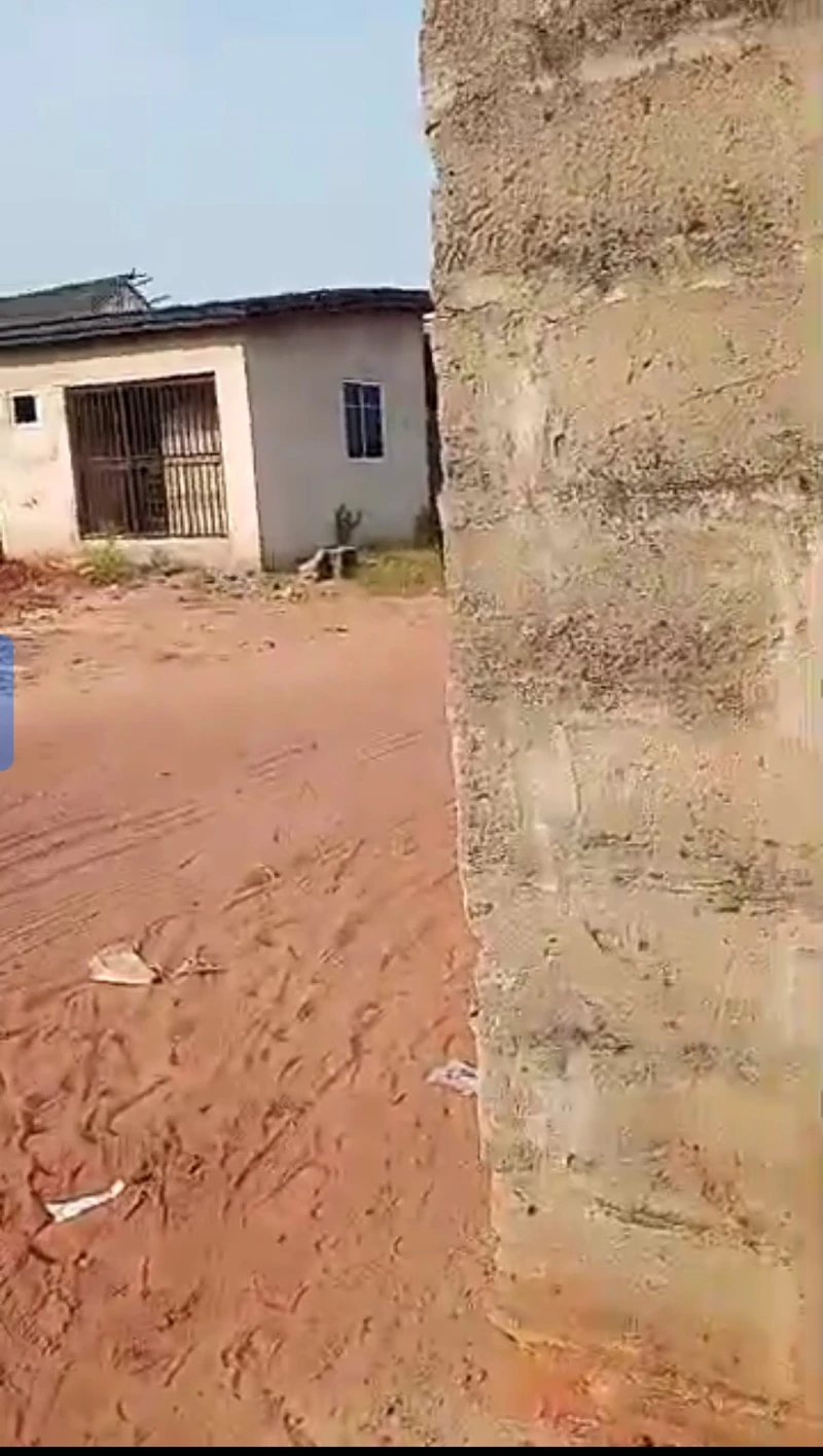 3 Bedroom Flat for Sale in Achala ibusa, Delta - Image 3
