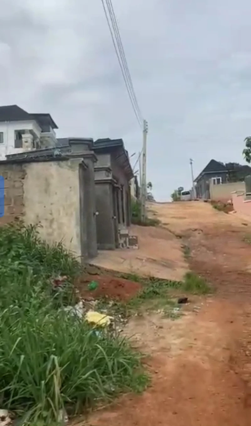 Land for Sale in Okpanam, Delta - Image 2