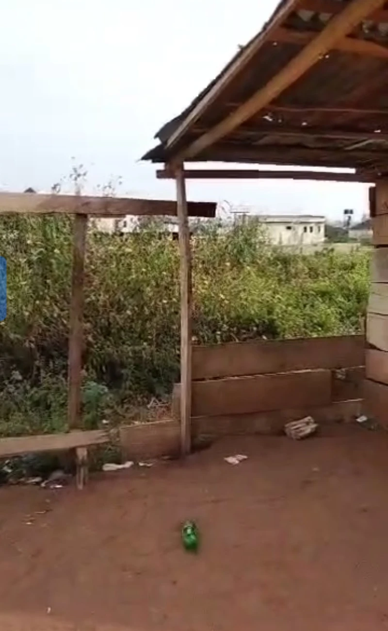 Land for Sale in Okpanam, Delta - Image 3
