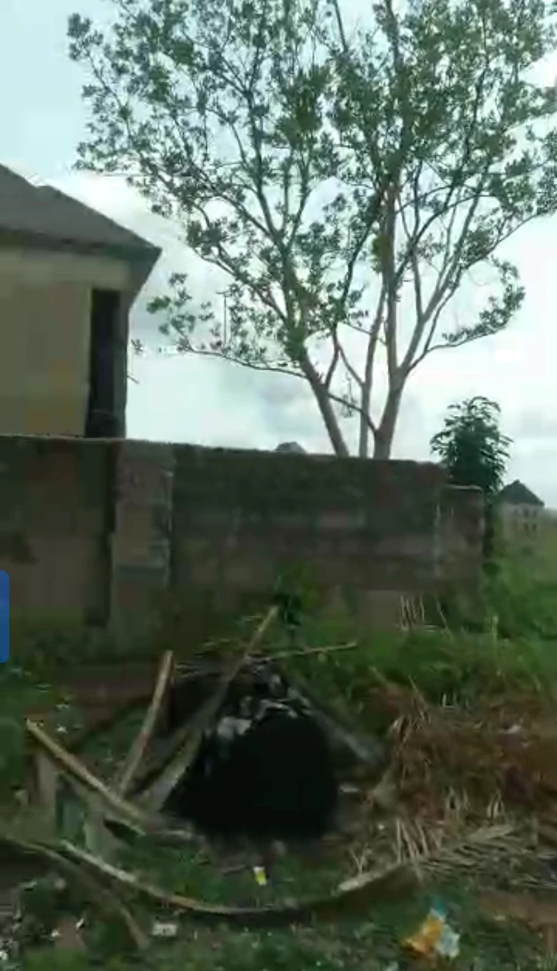 Land for Sale in Okpanam, Delta - Image 2