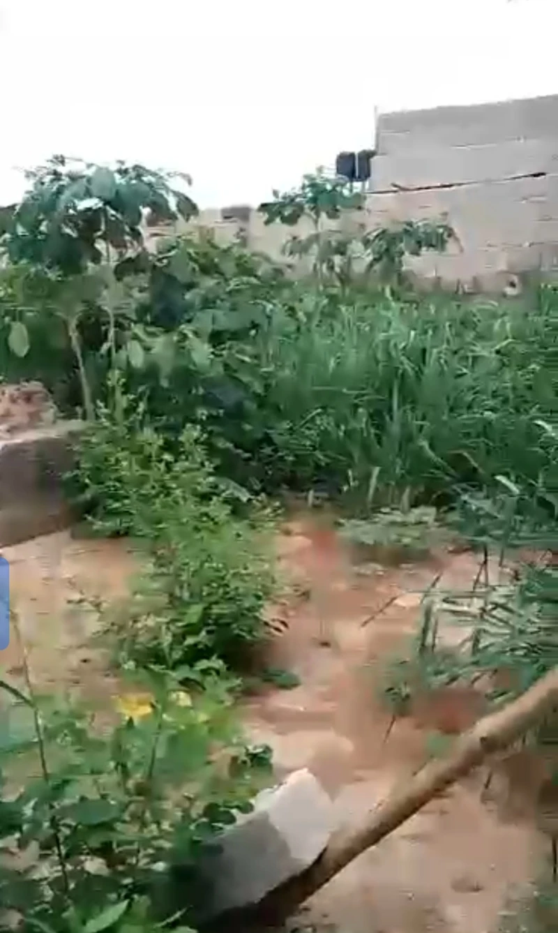 Land for Sale in Okpanam town, Delta - Image 3