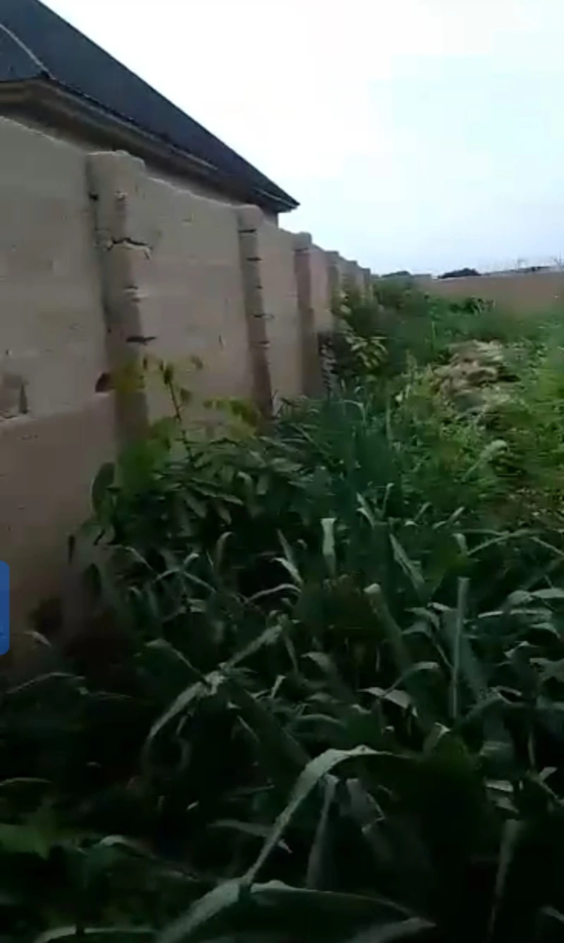 Land for Sale in Okpanam town, Delta - Image 1