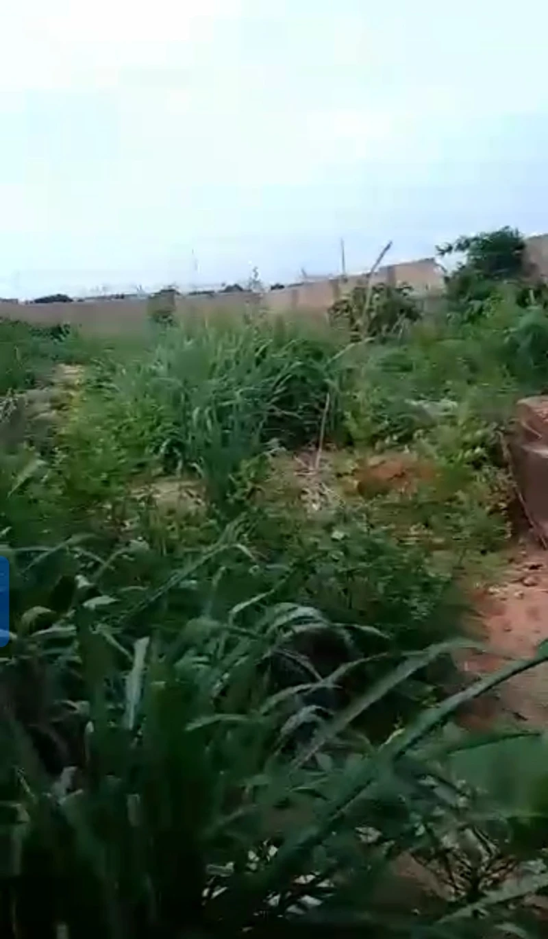 Land for Sale in Okpanam town, Delta - Image 2