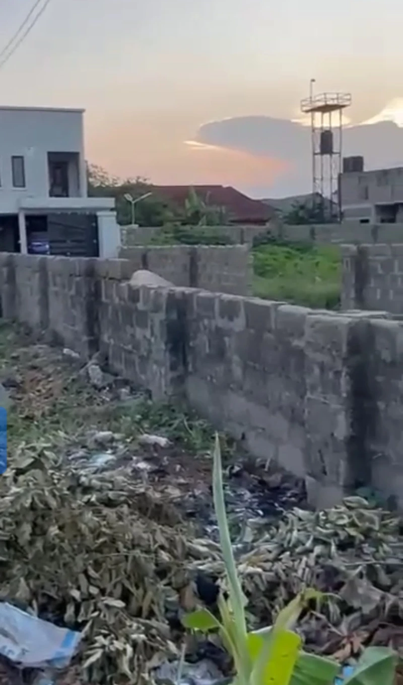 Land for Sale in Ibuzor road, Delta - Image 2