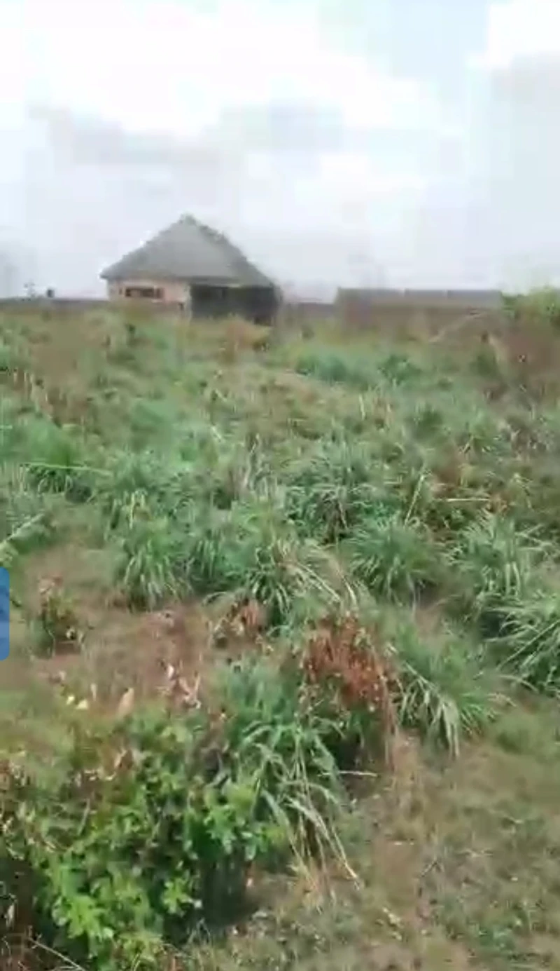 Land for Sale in Okpanam road, Delta - Image 2