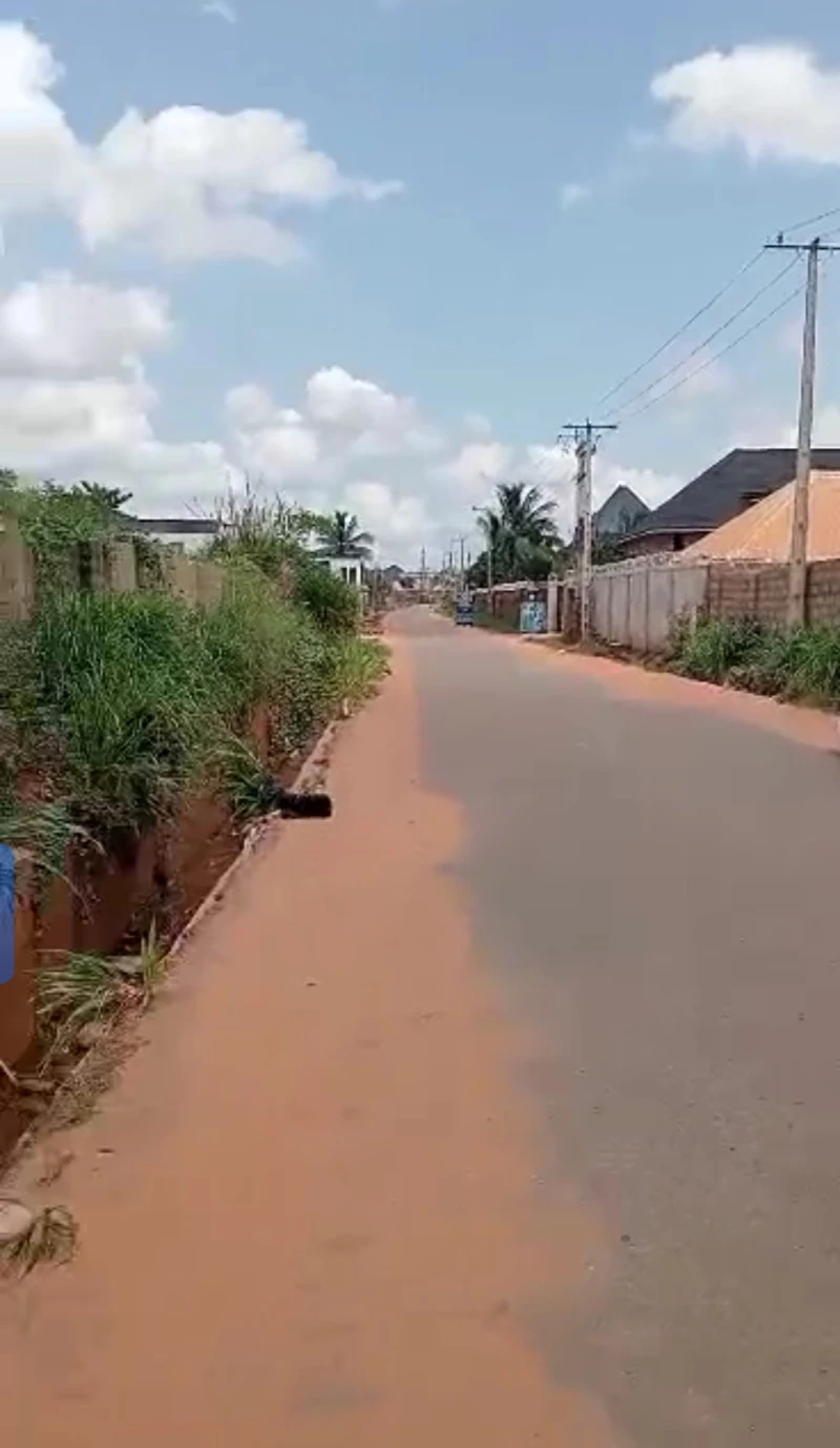 Land for Sale in Okpanam, Delta - Image 1