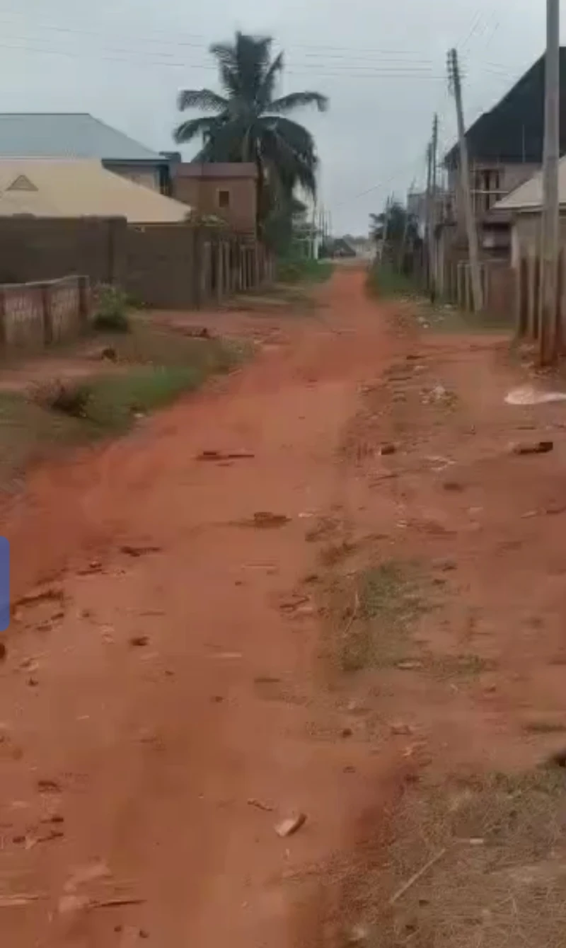 Land for Sale in Nwawolor, Delta - Image 4