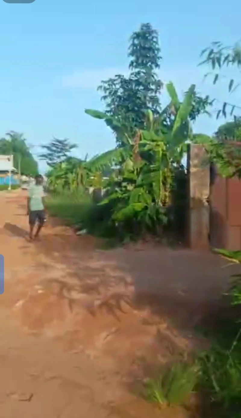 Land for Sale in Okpanam, Delta - Image 1